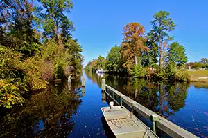 dismal swamp canal during the fall season